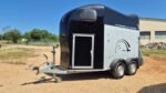 Occasion Van 2 places Gold 2 avec sellerie – Noir