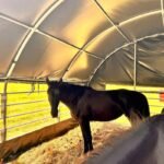Abris pour pour bétail 6x6 m GSCT2020 Premium – Image 5